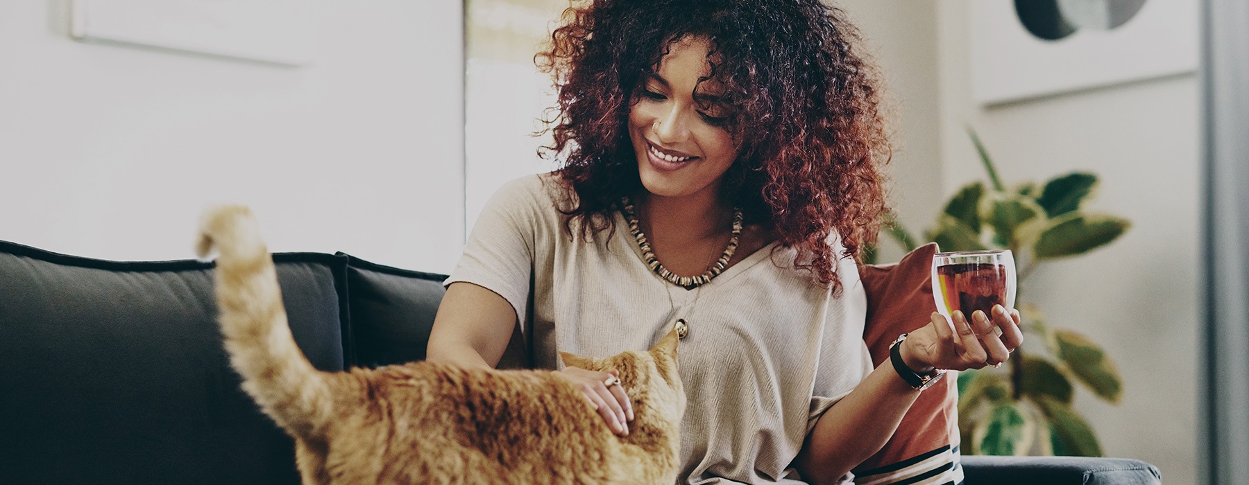 lifestyle image of a woman petting her cat